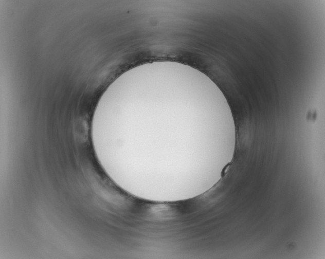 X0000112860183200909111518