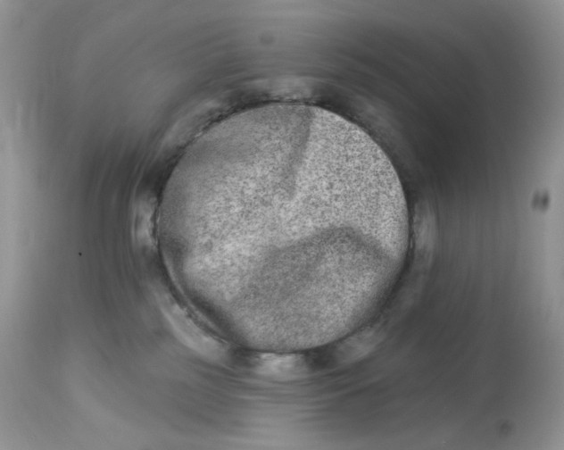 X0000112860185200909111518