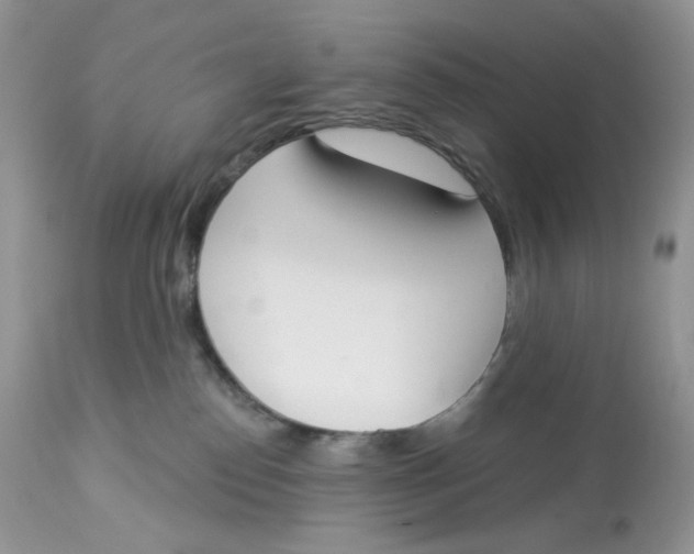 X0000112860186200909111518