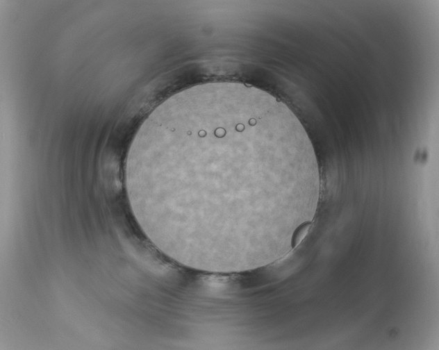 X0000112860187200909111518