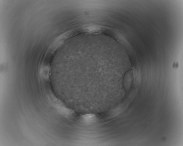 X0000112860189200909111518