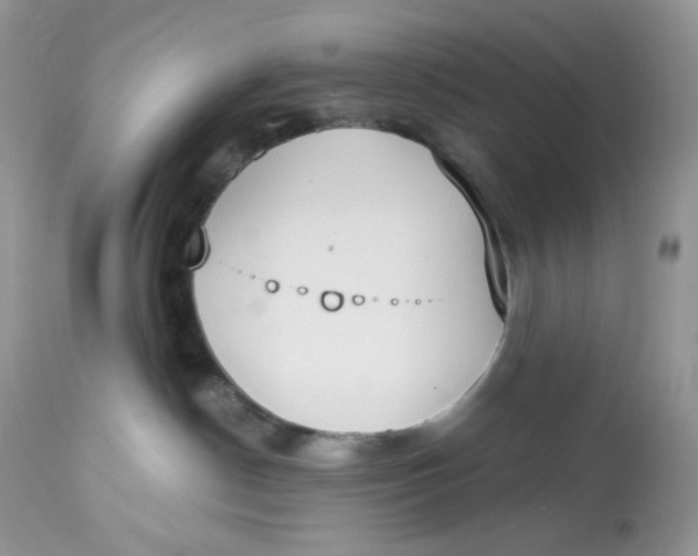 X0000112860190200909111518