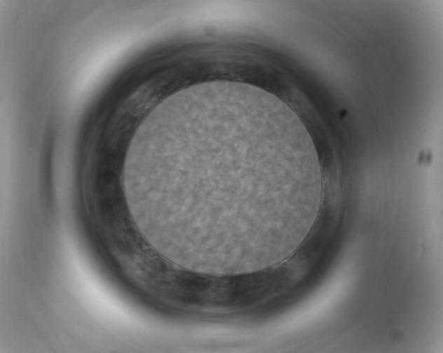 X0000112860191200909111518