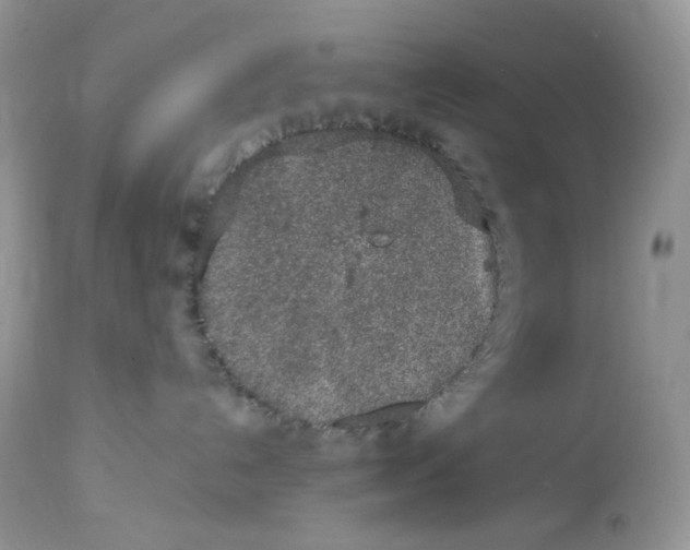 X0000112860192200909111518