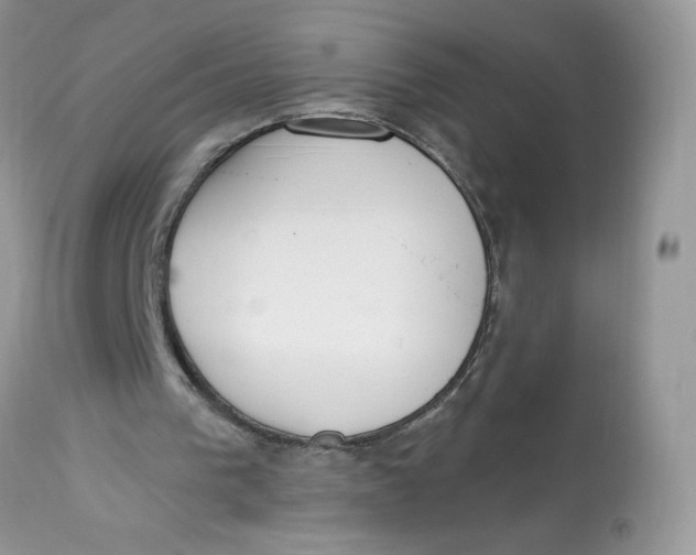 X0000112860193200909111517