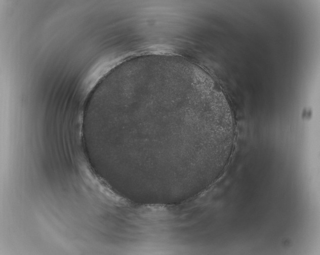 X0000112860194200909111517