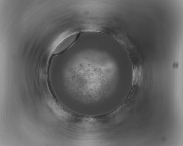 X0000112860195200909111517