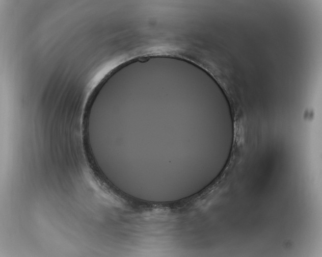 X0000112860196200909111517