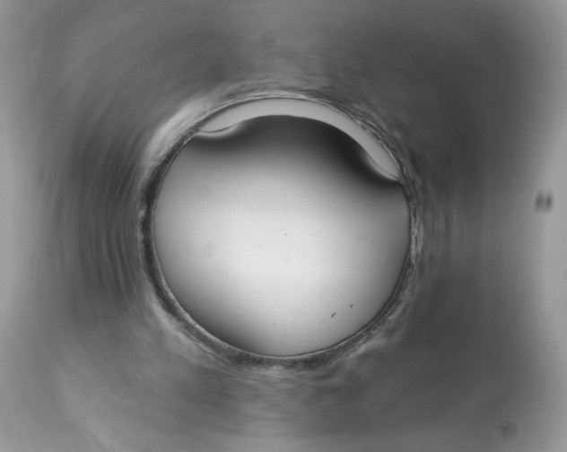 X0000112860197200909111517