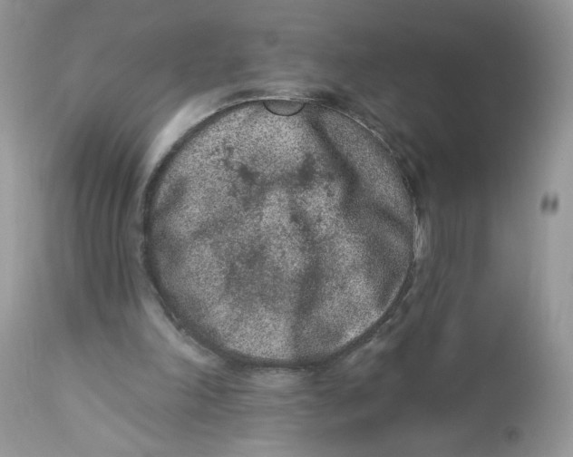 X0000112860198200909111517