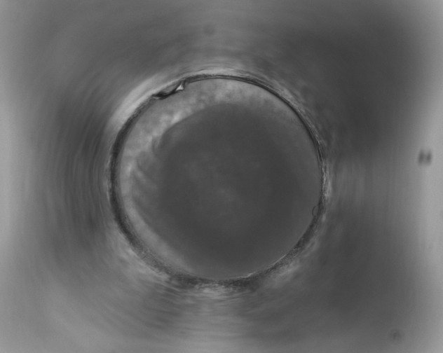 X0000112860199200909111517