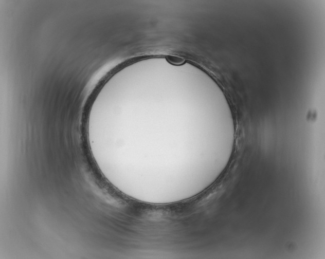 X0000112860200200909111517