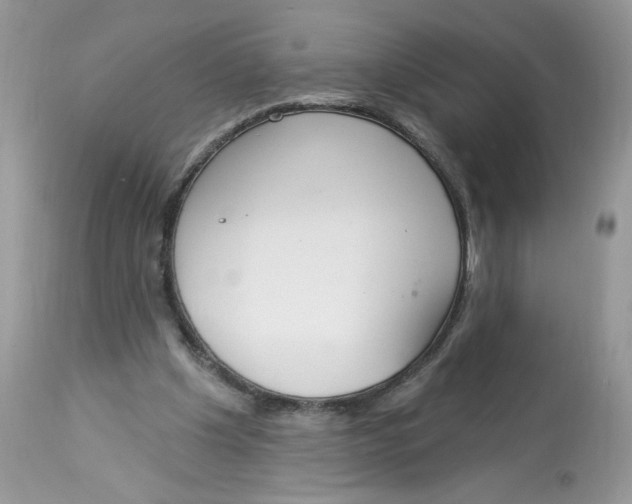 X0000112860201200909111517