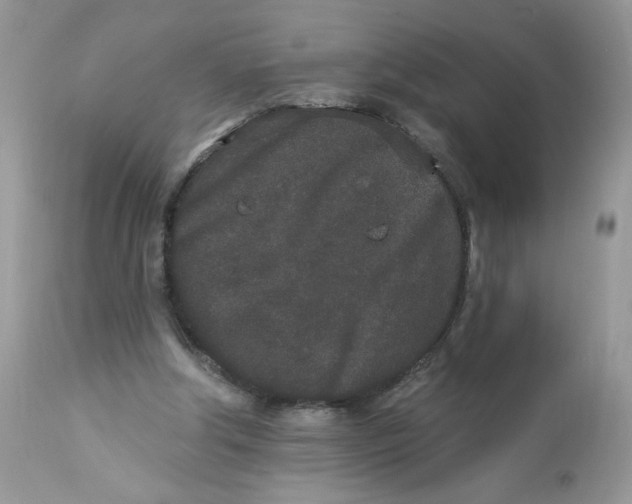 X0000112860202200909111517