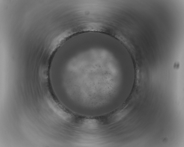 X0000112860203200909111517