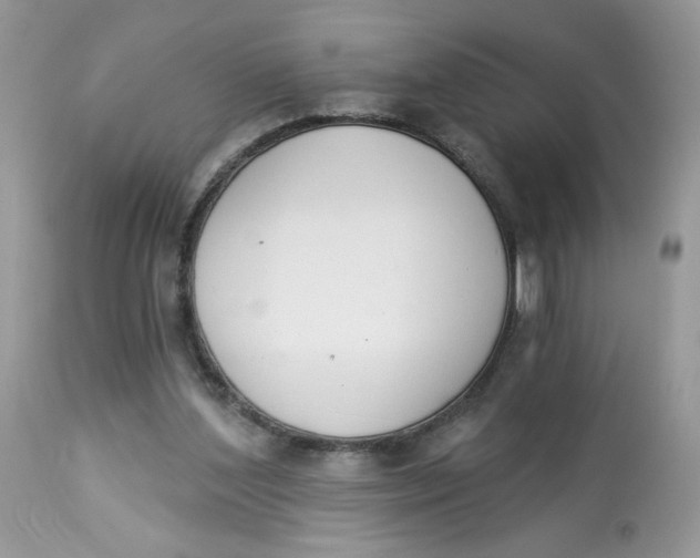 X0000112860204200909111517