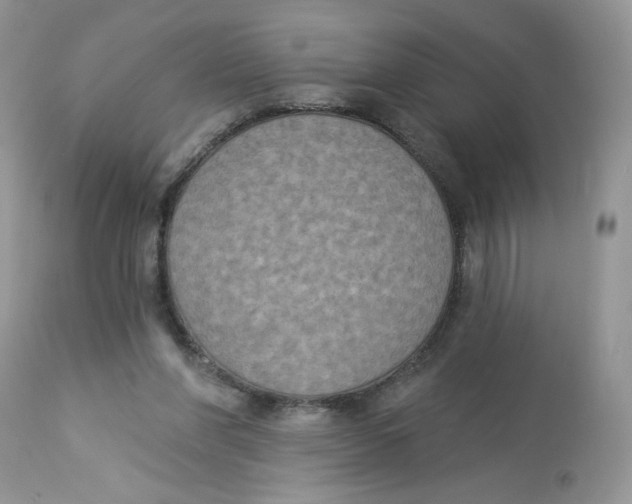 X0000112860206200909111517