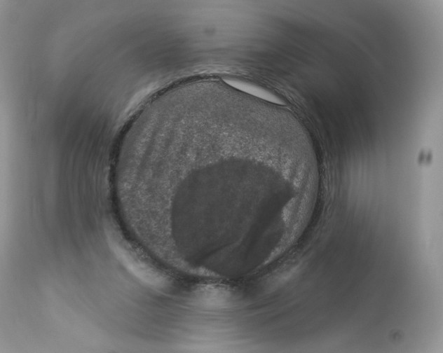 X0000112860207200909111517