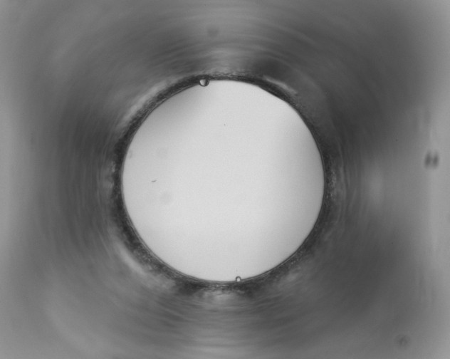 X0000112860208200909111517