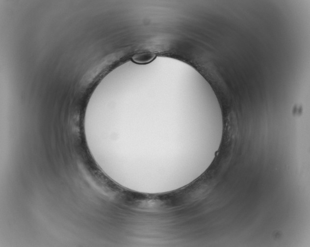 X0000112860212200909111517