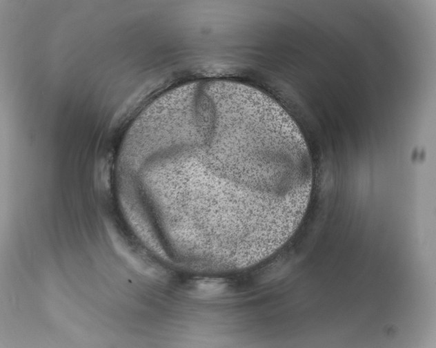 X0000112860214200909111517