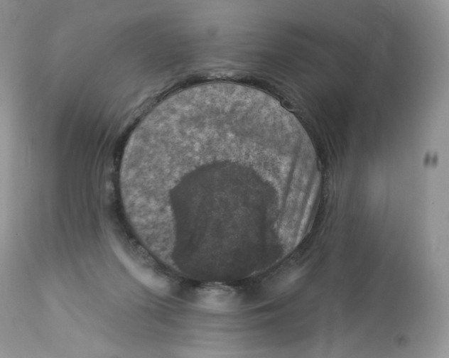 X0000112860215200909111517