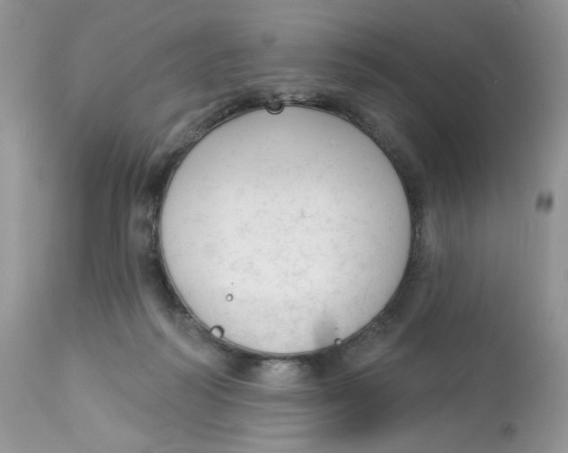 X0000112860218200909111516