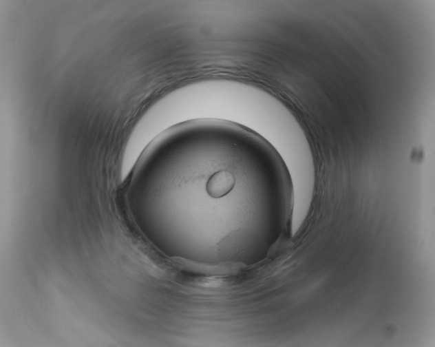 X0000112860219200909111516