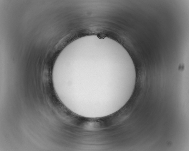 X0000112860220200909111516