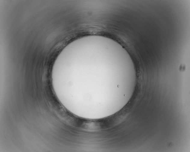 X0000112860221200909111516