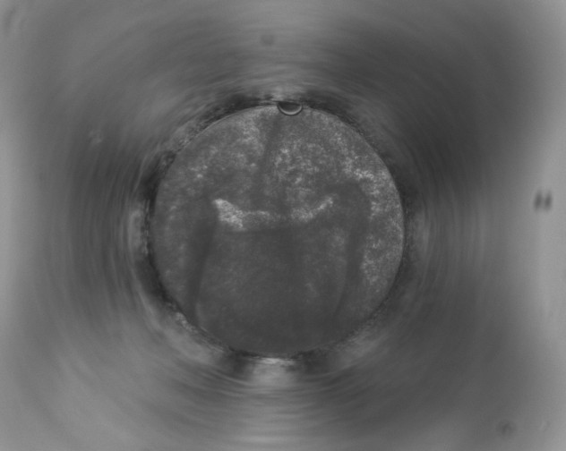 X0000112860222200909111516