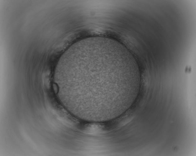 X0000112860223200909111516