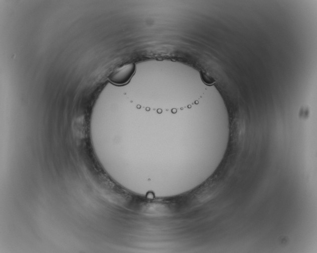 X0000112860224200909111516