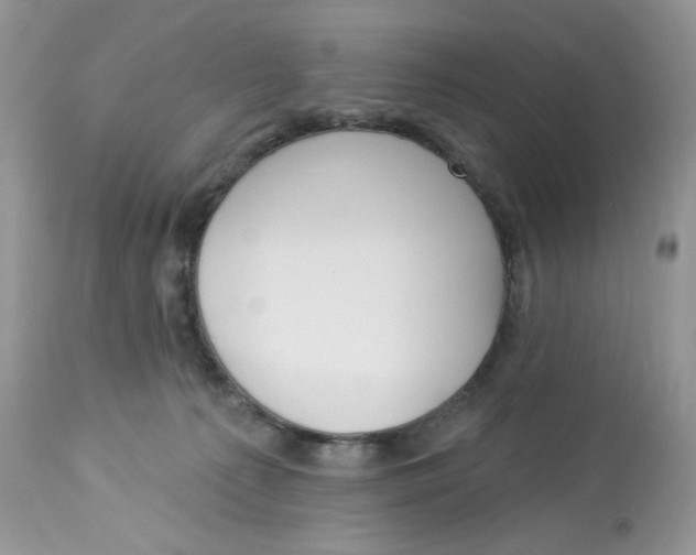 X0000112860225200909111516