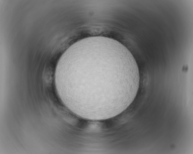 X0000112860226200909111516