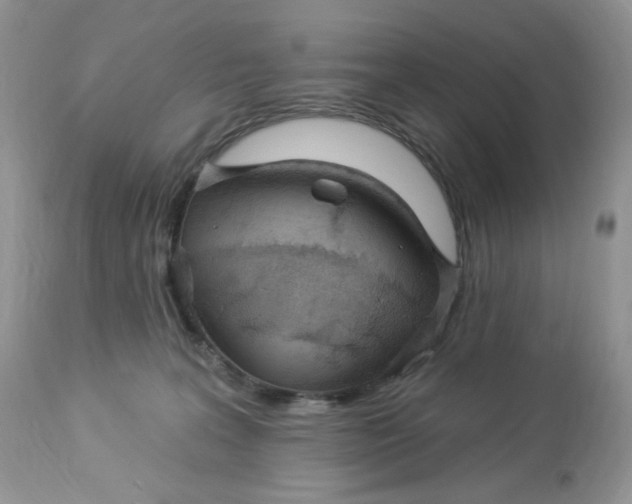 X0000112860227200909111516