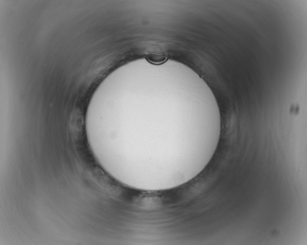 X0000112860228200909111516