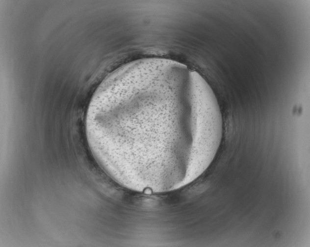 X0000112860229200909111516