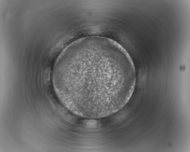 X0000112860230200909111516