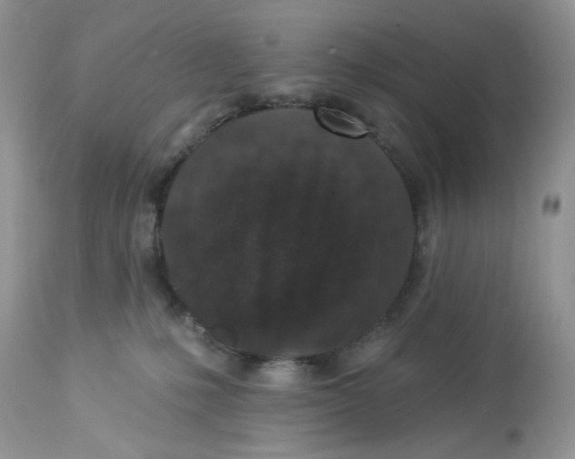 X0000112860231200909111516