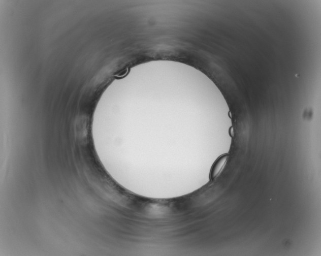 X0000112860232200909111516