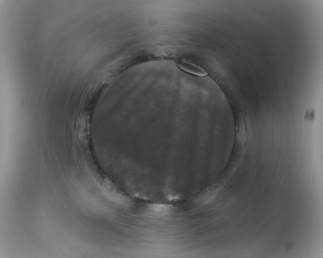 X0000112860233200909111516