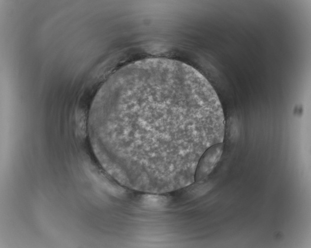 X0000112860234200909111516