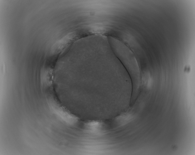 X0000112860237200909111516