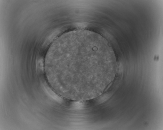 X0000112860238200909111516