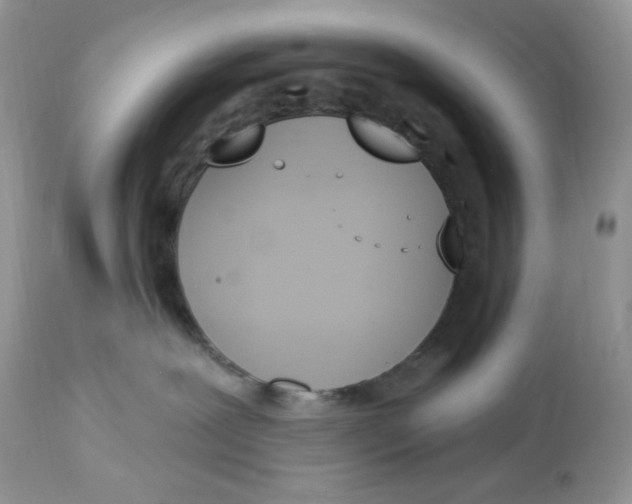 X0000112860239200909111516