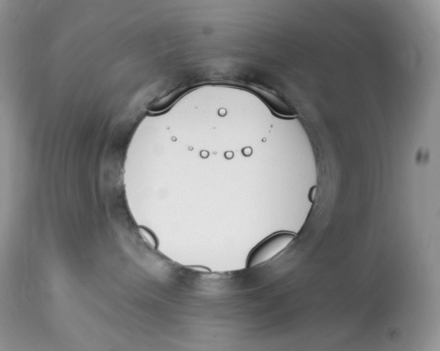 X0000112860240200909111516