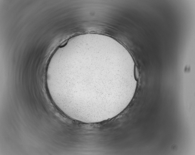 X0000112860241200909111516