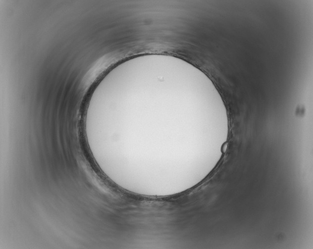 X0000112860242200909111516