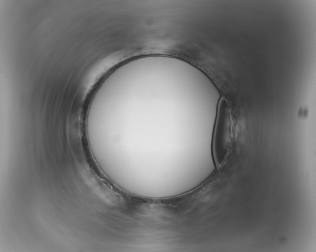 X0000112860244200909111516